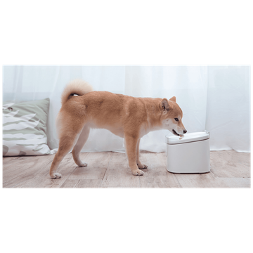 Xiaomi Fontana za kućne ljubimce - Smart Pet Fountain