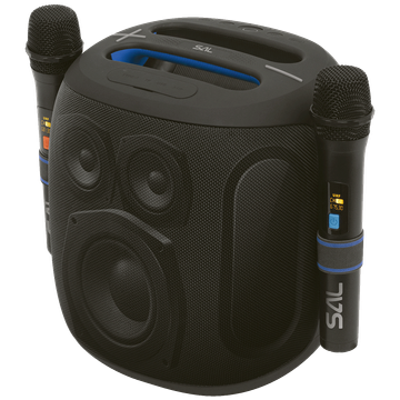 SAL Zvučnik bežični sa mikrofonom,Boombox,Bluetooth,100W,IPX5 - PARCUBE