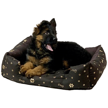NN Krevet za kućne ljubimce, pse i mačke, 90 x 63 x 16 cm - Cube Dog Bed XXL GO GIFT